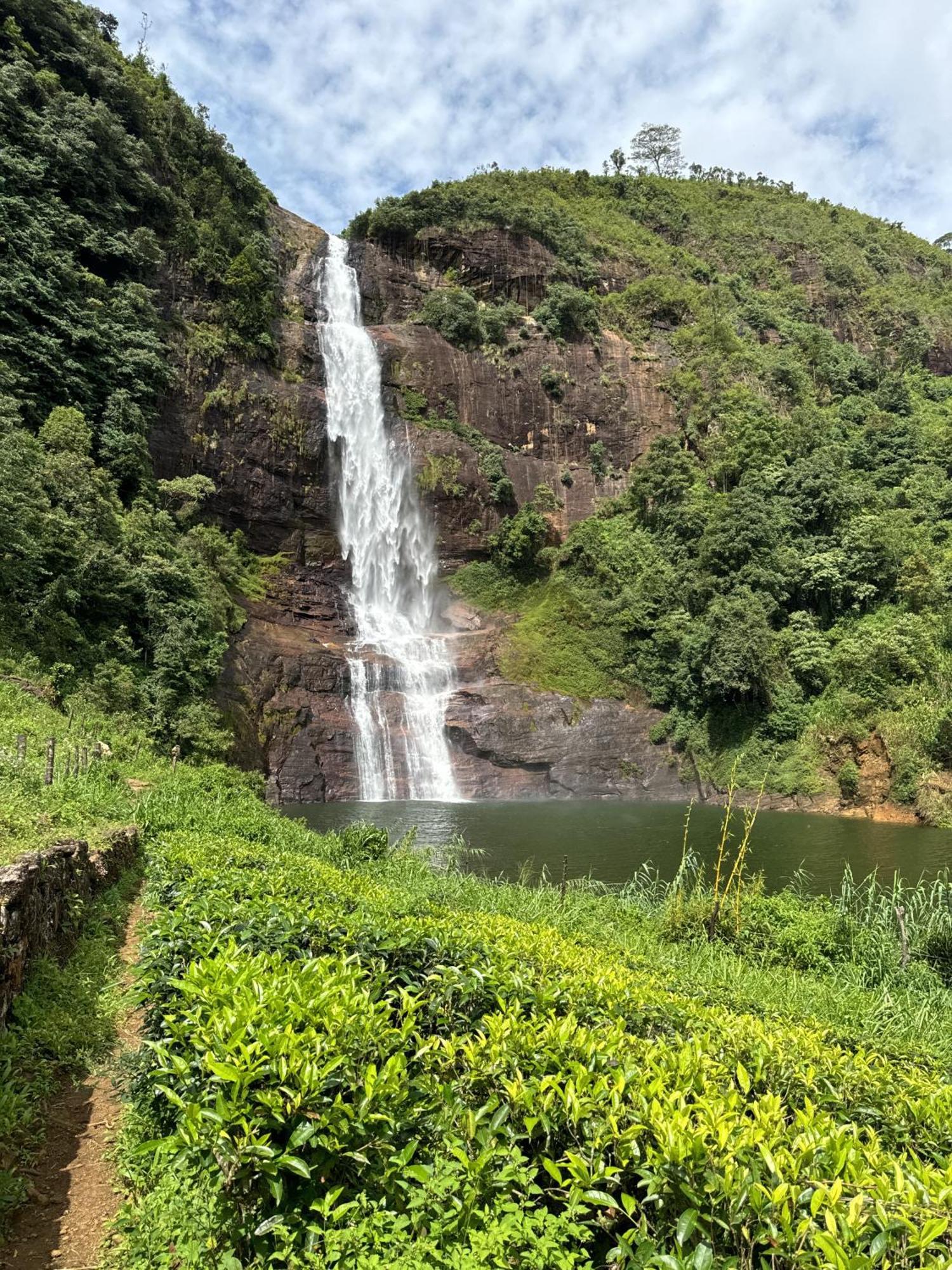 Pekoe Lodge Maskeliya Luaran gambar