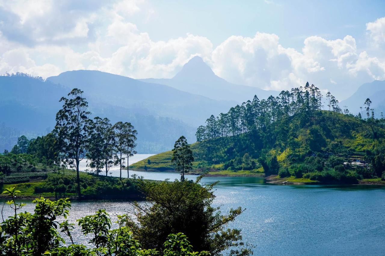 Pekoe Lodge Maskeliya Luaran gambar